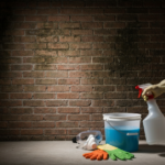 Odgrzybianie ścian z cegły przy użyciu preparatów na bazie podchlorynu sodu